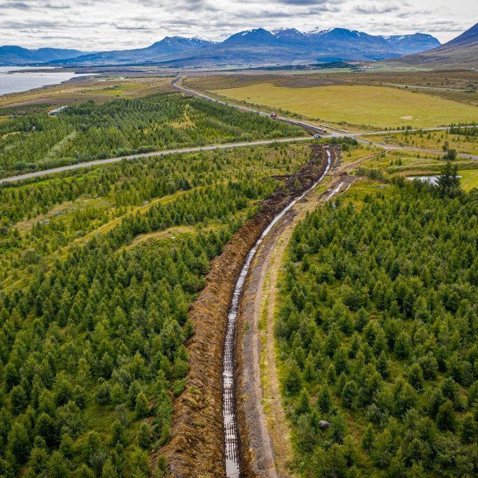 Lagning Hjalteyrarlagnar sumarið 2019 (Mynd: Auðunn Níelsson)
