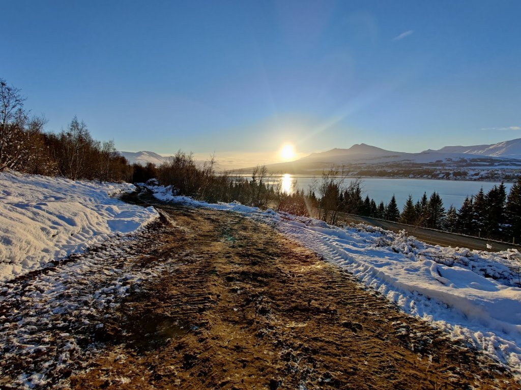Skógarböð (Mynd: Hjalti Steinn Gunnarsson)
