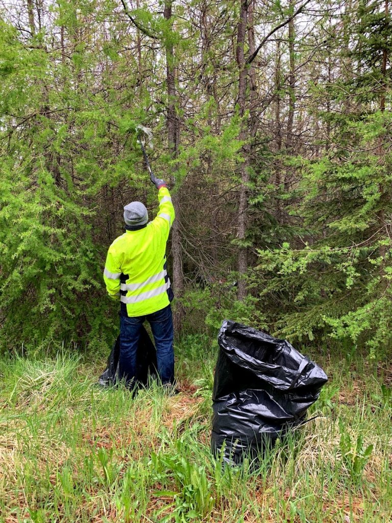Vigfús Ingi nær í plast upp í tré. (Mynd: Gunnur Ýr Stefánsdóttir)